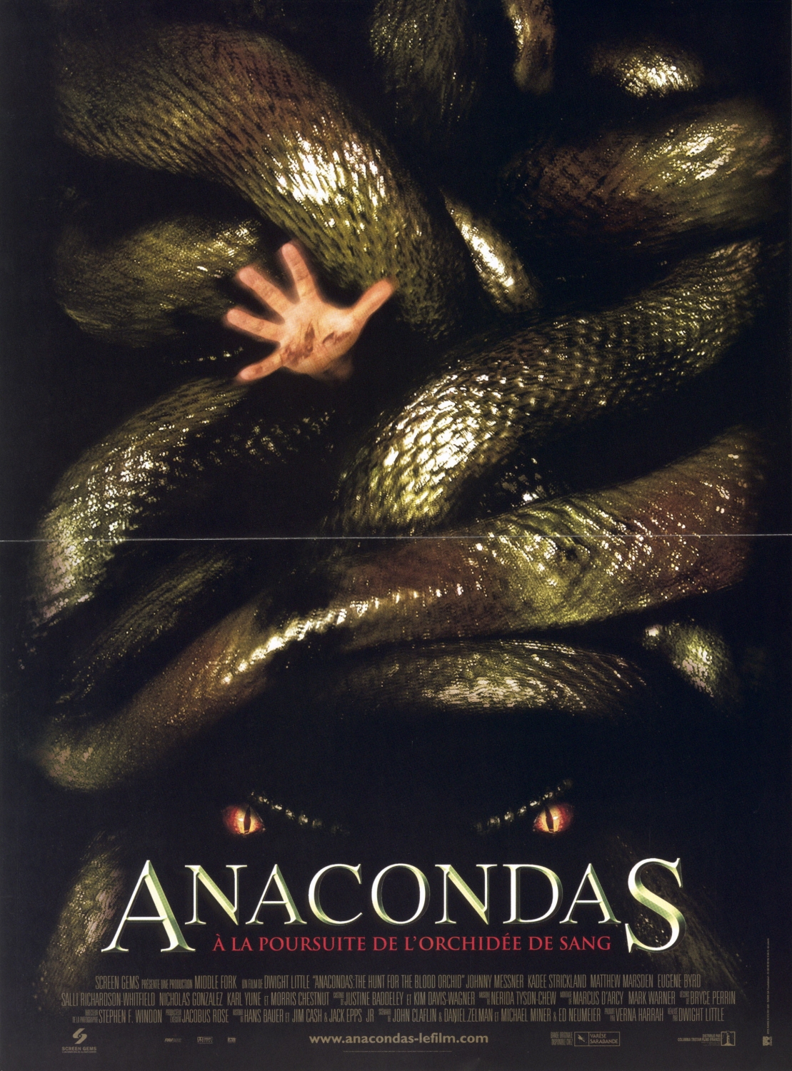 Anacondas : à La Poursuite De L'orchidée De Sang Anacondas : A La Poursuite De L'Orchidee De Sang - films-telefilms sur