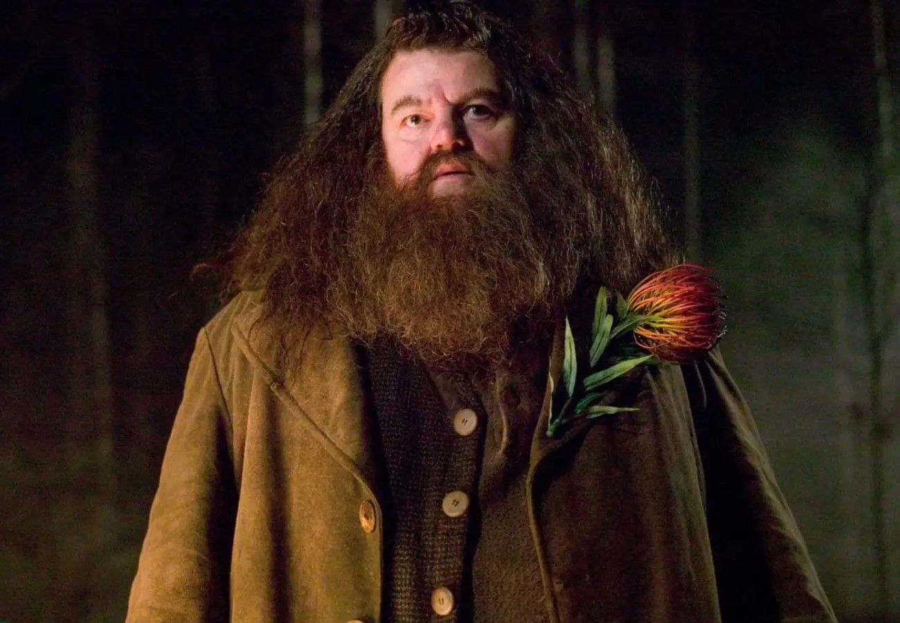 Acteur De Harry Potter Décédé